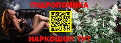 шишки Апрелевка