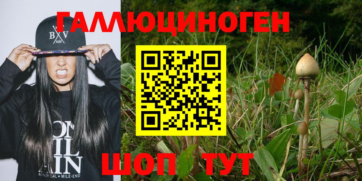 Галлюциногенные грибы GOLDEN TEACHER Бугуруслан