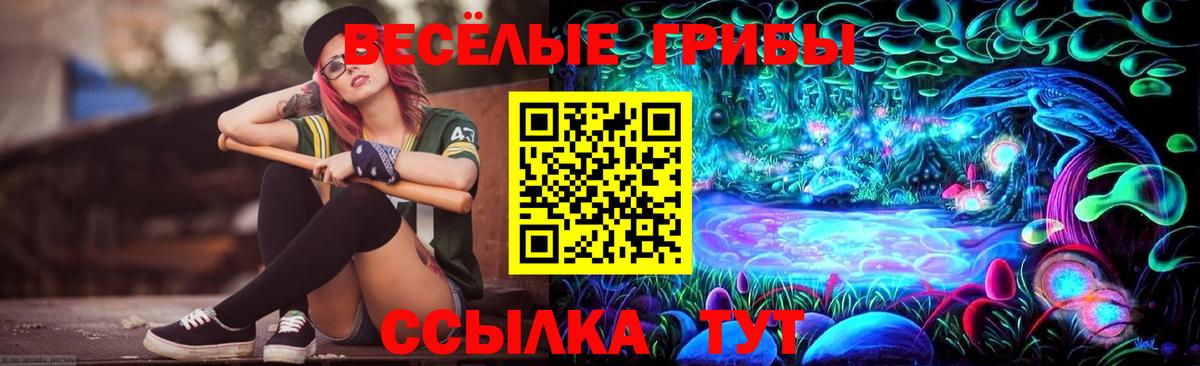 Псилоцибиновые грибы ЛСД  Вход с VPN  Псилоцибиновые грибы GOLDEN TEACHER  наркота  Бугуруслан 